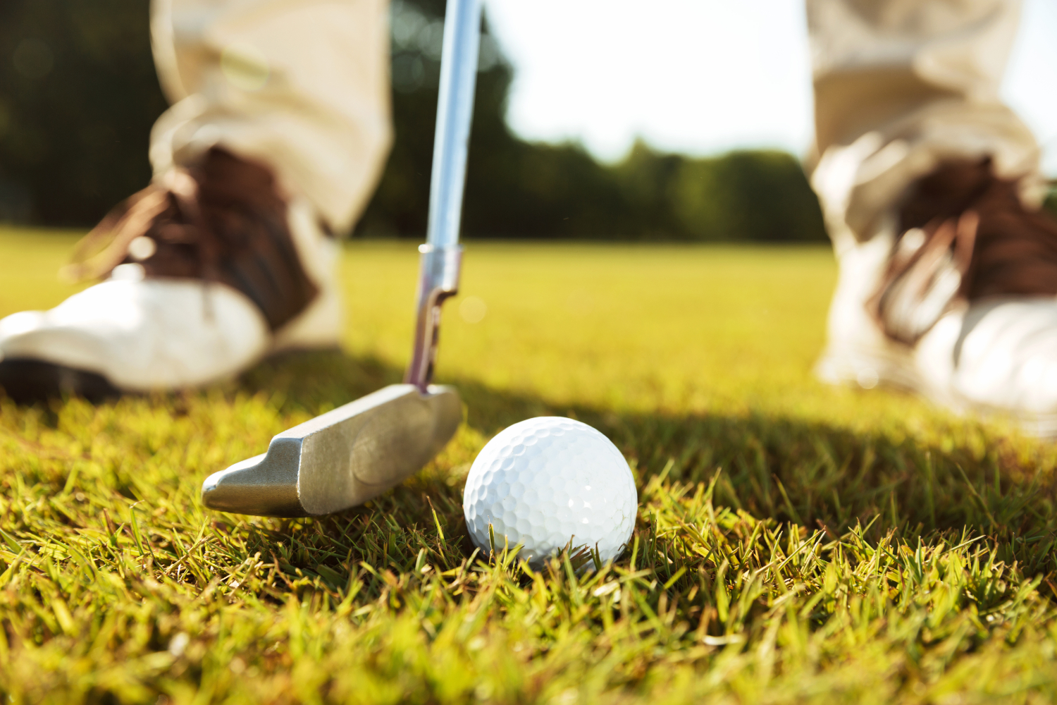 Ottawa Golf Membership